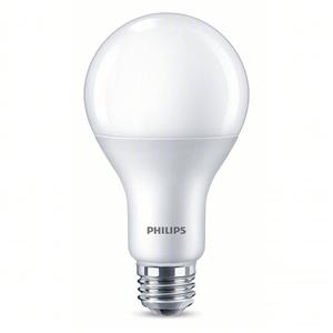 bulb