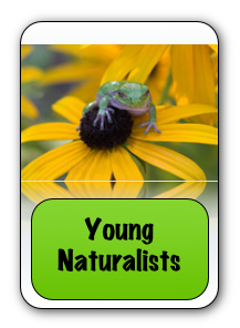 Young Naturalists 