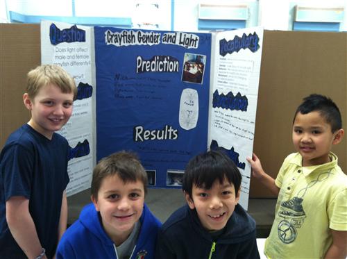 Science Fair 