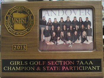 2013 Section 7AAA Champions and State Participants 