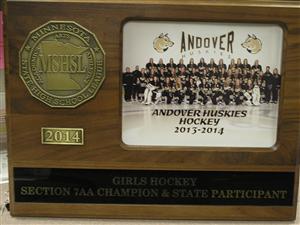 2013-14 GHockey Sec 7AA Champ & state Participant 