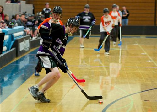 floor hockey