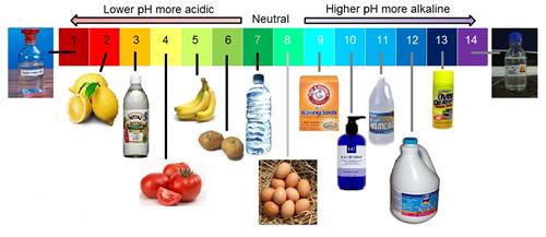 pH Scale 